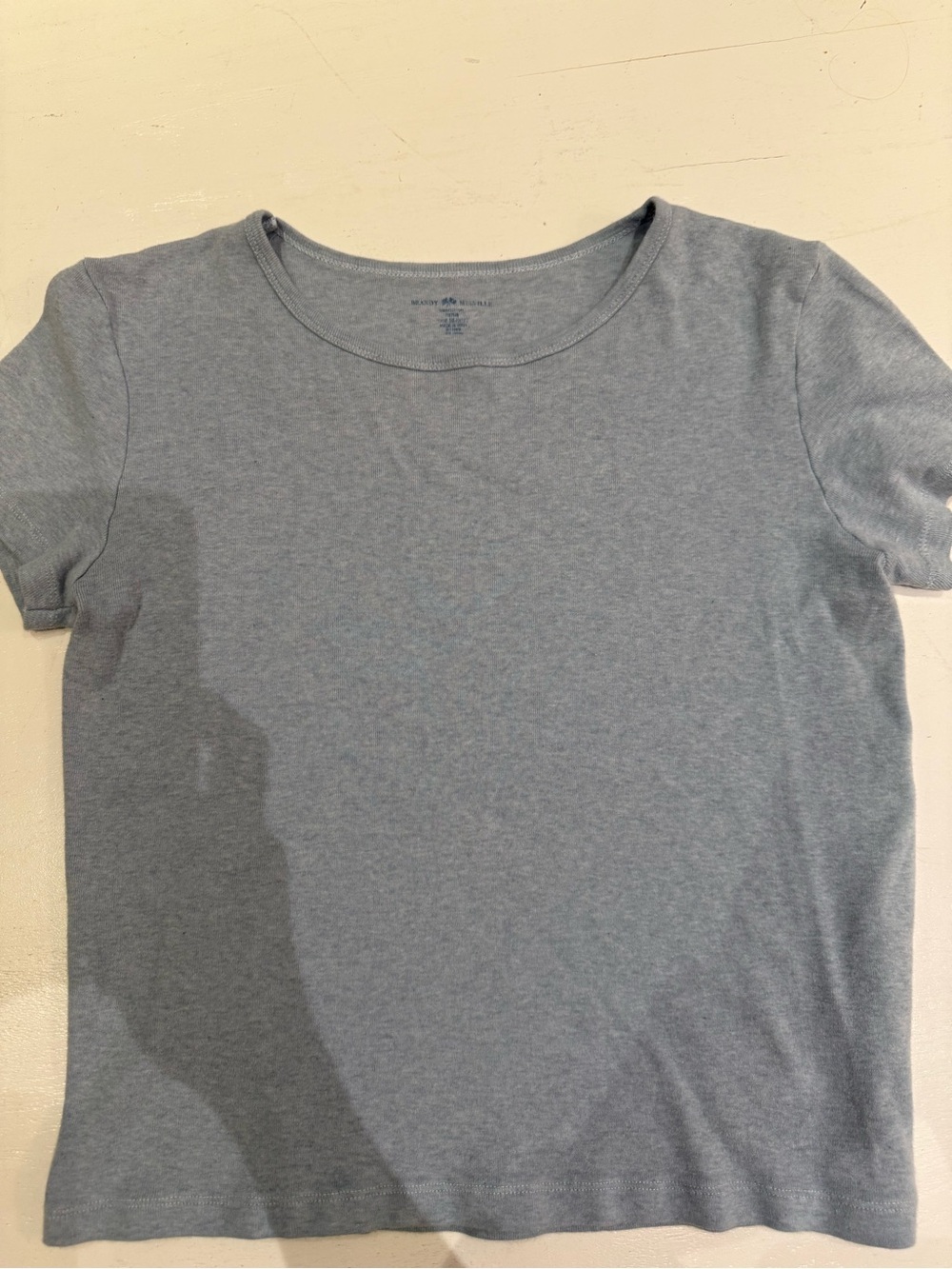 Brandy Melville Light Blue Tee